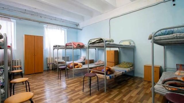 Короткий вывод о разведении перепелов смотреть онлайн