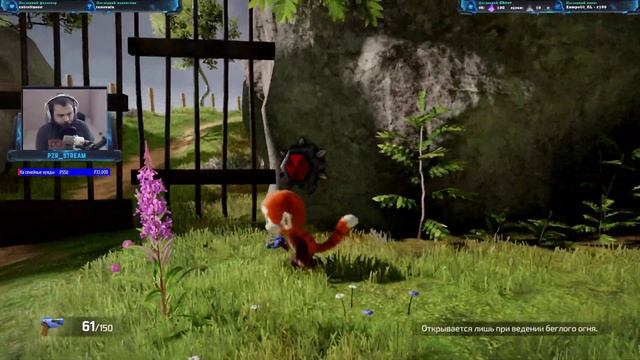 ? Tamarin Gameplay ?