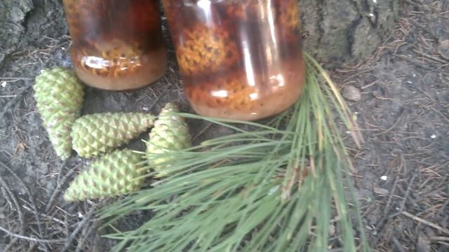 Варенье из сосновых ШИШЕК... или МЁД смотреть онлайн