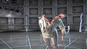 MK XL All Faction Kills on Bo-Rai-Cho