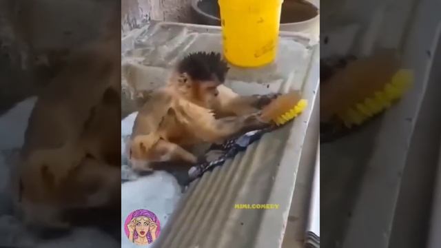 большая стирка