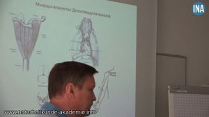 Мышечное тестирование. Все о дельте. Прикладная кинезиология.