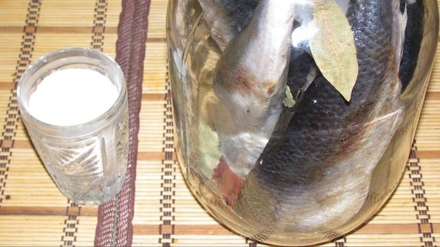 Засолка селедки