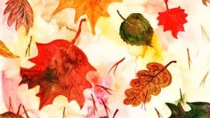 "Пляска с листочками" ("Листики дубовые, листики кленовые...") - осенние песни в средней группе