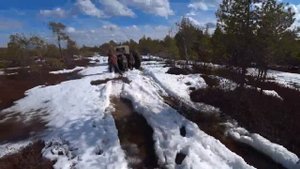 Охота на гуся 2022/заезд на избу/первые трофеи/1 часть