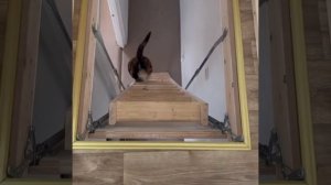 Видео от Мемный мем