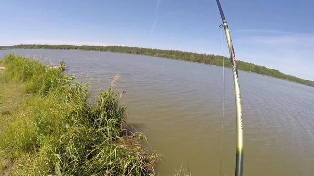 Карповая рыбалка в Нижегородской области, с.Криуша