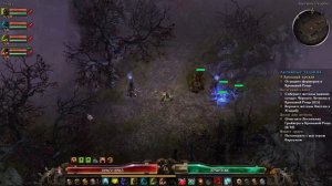 Grim Dawn: Первый петовод, Ритуалист(Шаман+Некромант), сет Злоба Гола, кислота, яд, часть 13