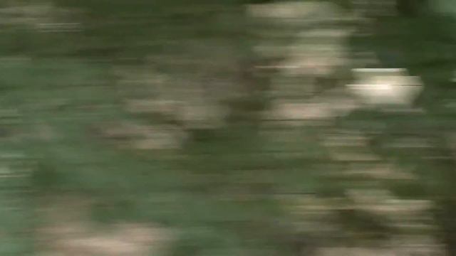 Лосиная слобода - 2014. Пейнтбол. Фрагмент смотреть онлайн