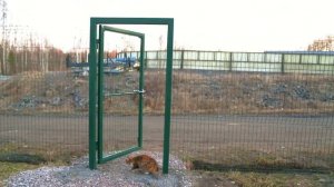 Отзыв клиента об откатных воротах из сетки Гиттер с автоматикой из деревни Мендсары - Русская Свая