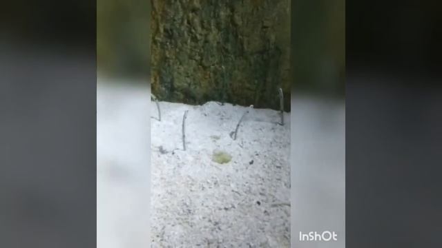 6 выпуск. Манила. Второй день. Океан парк.