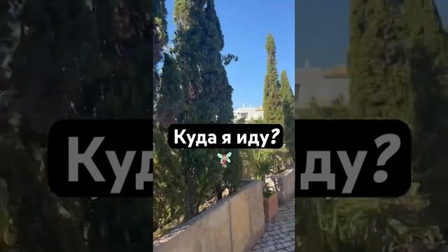 Сколько ТЫСЯЧ шагов за день я хожу? смотреть онлайн