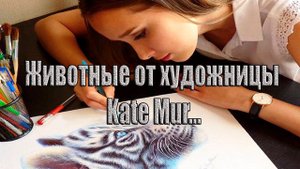 Животные от художницы Kate Mur*