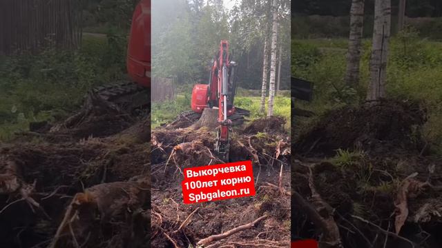 Как расчистить дачный участок #дача #строительство #экскаватор #дерево #видео #благоустройство #сад смотреть онлайн