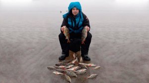 ЛОВЛЮ ЖИРНЫХ ОКУНЕЙ ГЛЯДЯ ИМ В ГЛАЗА))) Ловля окуня на балансир. Зимняя рыбалка Ильмень 2020.