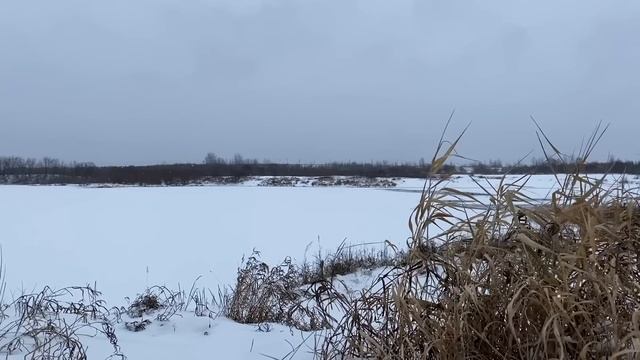 ПУСТЬ ТВОЙ МУЖ ИДЁТ РАБОТАТЬ, Я УСТАЛА ВАС КОРМИТЬ... | Истории из жизни. смотреть онлайн