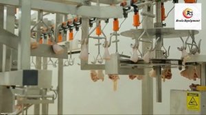 Boost Your Poultry Processing Capacity with Large Complete Slaughter Line