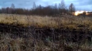 очи черные вариант N2