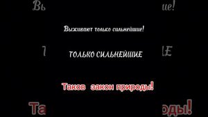 Выживают только сильнейшие!