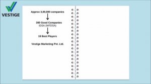 Vestige Plan (in Hindi) | How To Show The Plan?