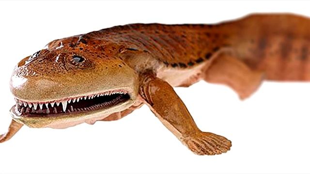 Какое животное первым появилось на суше? смотреть онлайн