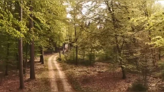 Музыкальная открытка № 8 «Урал-Донбасс». К Дню защитника Отечества смотреть онлайн