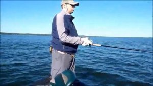 Техника проводки на глубинах Medussa Chaos Tackle и Musky Mayhem Double Cowgirl