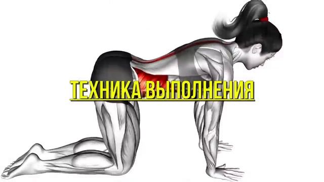 4 Лучших Утренних Упражнения на Растяжку для Мужчин Старше 40 лет