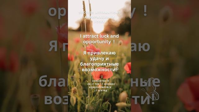 #shorts Я привлекаю удачу и благоприятные возможности! 17 секунд