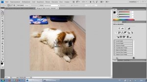 Как поставить водяной знак_Программа Photoshop