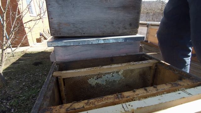 Проводим плановый осмотр пчёл. Идеальное качество 4к формат видео! смотреть онлайн