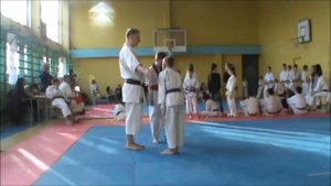 чемпионат области по традиционному каратэ 10.04.2016 часть 4-я