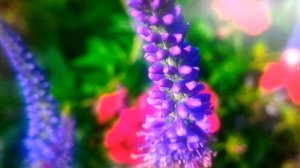 Нужен ли реально монитор 120 или 144 Гц или 60 Гц достаточно?