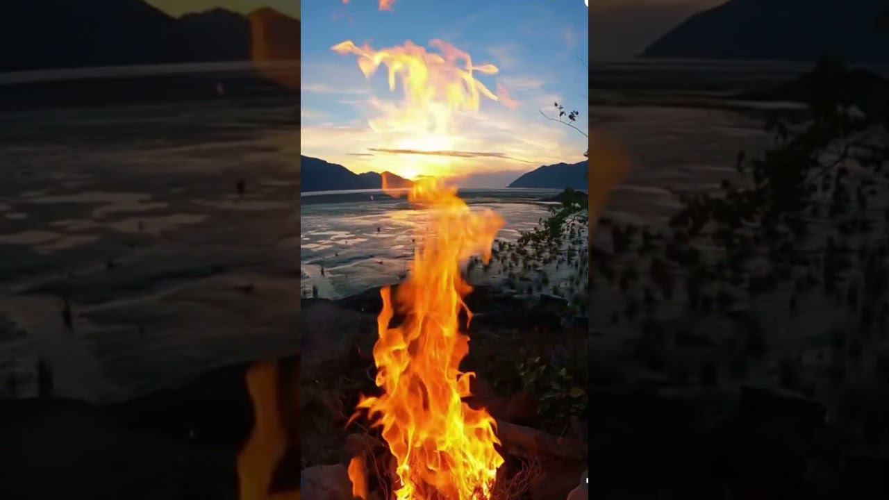 Воспоминание (стихи) Джамиля Шарипова #стихи #любовь #love #топ #animals #природа #джамиля шарипова смотреть онлайн