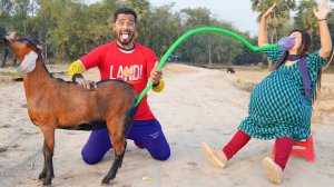 смешные видео?комедийное видео?прикол видео?смешные видео 2022