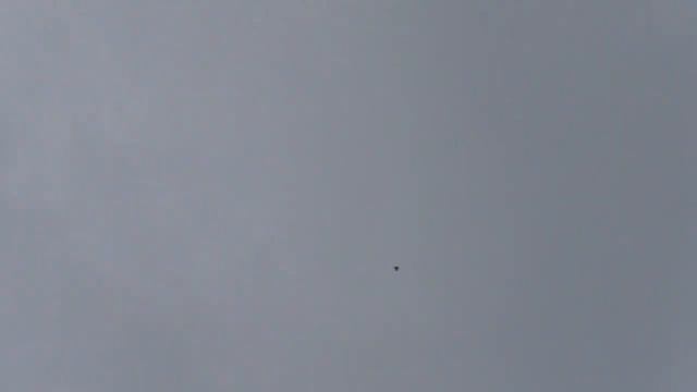 ДОСТОЙНЫЕ БОЙНЫЕ ГОЛУБИ !!!#pigeons##Tauben##աղավնիներ##göyərçinlər##көгершіндер##продажа#