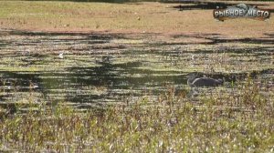 Ловля карпа осенью. Где искать карпа в октябре? Особенности ловли карпа осенью.