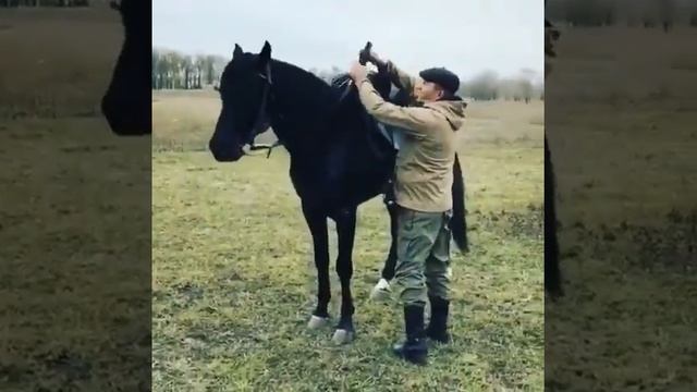 Карачаевское Седло смотреть онлайн