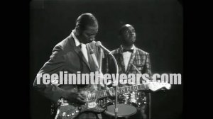 Hound Dog Taylor & Little Walter • “Shake Your Money Maker” • 1967 [Reelin' In The Years Archive]