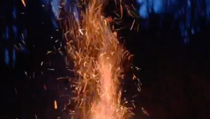 Большой костер в лесу!