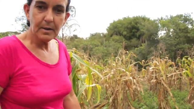 ARTESANATO COM PALHA DE MILHO - DONA ANÉSIA смотреть онлайн