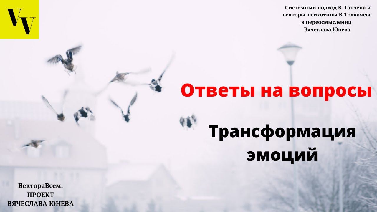 Трансформация эмоций. ВектораВсем. Проект Вячеслава Юнева
