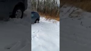 Кайрон по снегу в поле.