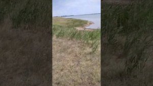 + 37, г. Купино. село. Новоключи. озеро. Горькое..Обзор от Газелиста Дармовоза Холостяка..