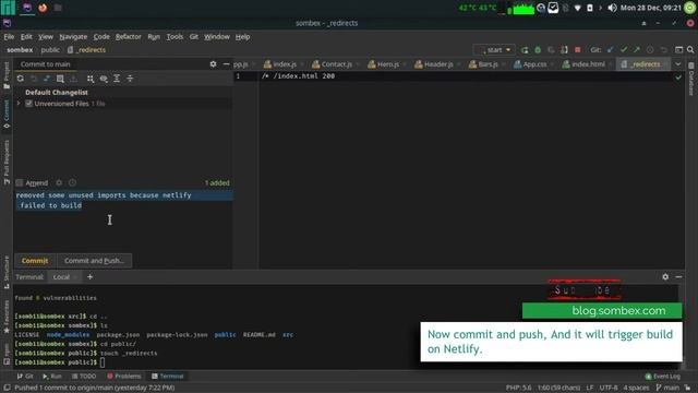 React Router Netlify Page Not Found Error (Update - Check Description)