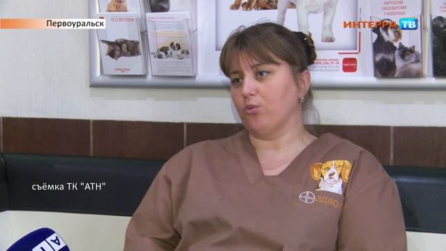 Крысиный клещ 18 05 17 1 смотреть онлайн