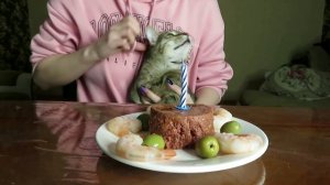 ДЕНЬ РОЖДЕНИЕ ТВИКСА / Влог/ Ayka Emilly