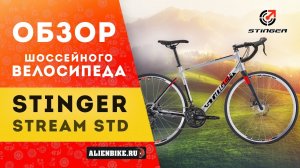 Шоссейный велосипед Stinger Stream STD 28'' (2019)