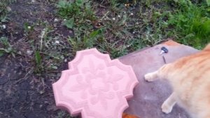 Как замесить цветной раствор бетона замес для тротуарной плитки