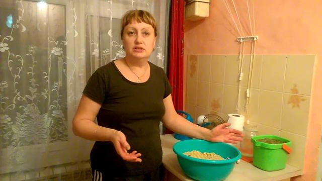 проращиваем зерно для кур